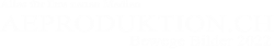 AEPRODUKTION.CH Alles fr Ihre neuen Medien Bewege Bilder 2022